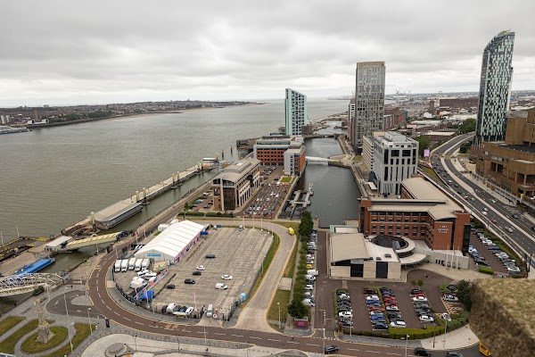 Liver Building 5