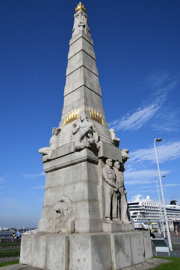 Liver Building 4