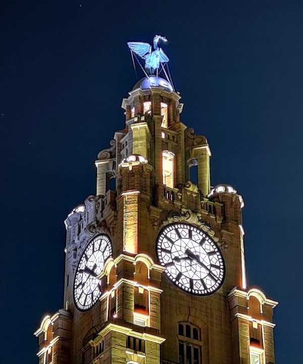 Liver Building 3