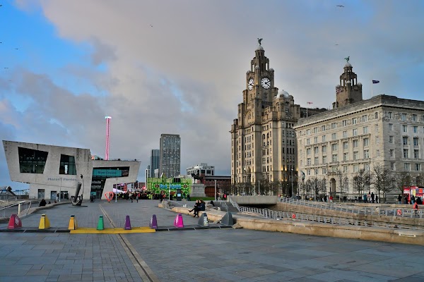 Liver Building 2