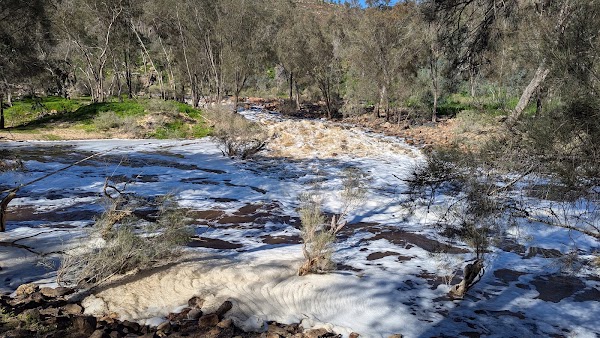 Syd's Rapids 3