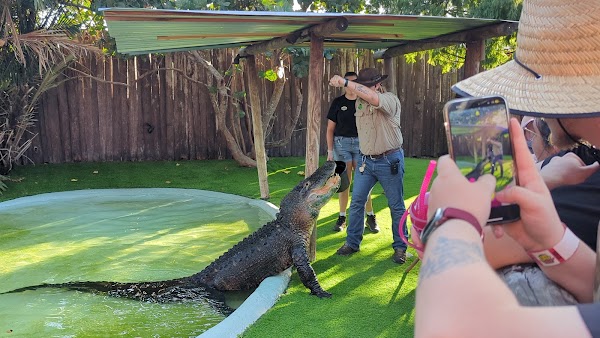 Gator Spot 1