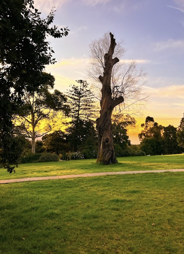 Anderson Park 2