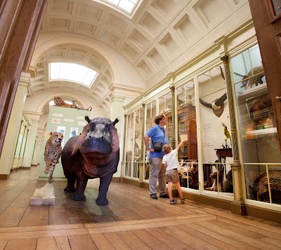 Musée d'Histoire naturelle & Vivarium