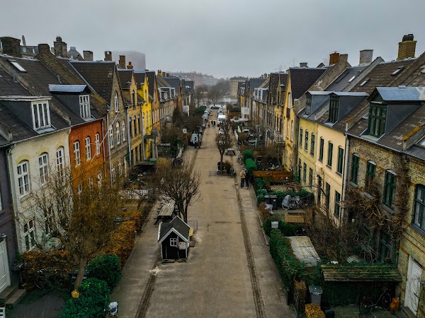 Kartoffelrækkerne