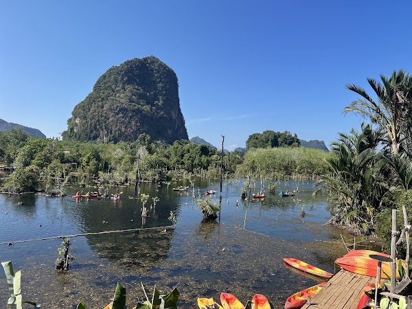 Kayak KlongRoot Viewpoint (คายัคคลองหรูดวิวพอยท์) 5