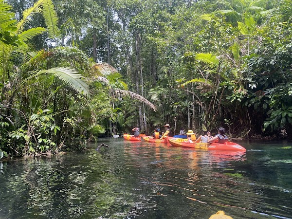 Kayak KlongRoot Viewpoint (คายัคคลองหรูดวิวพอยท์) 4