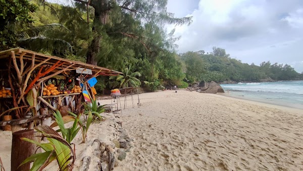 Anse Intendance Beach Wedding