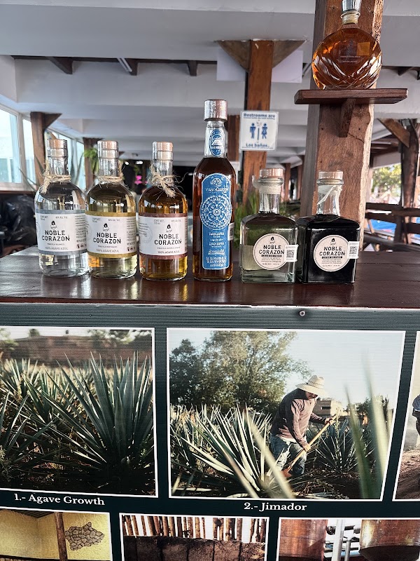 Cancun Tequila Tasting 3
