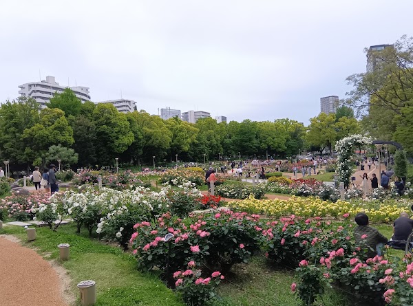 Utsubo Park 3