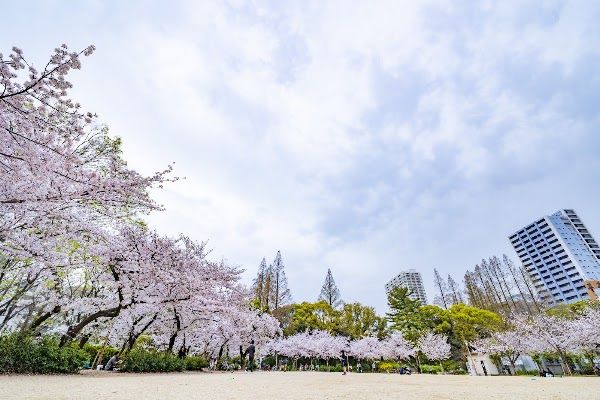 Utsubo Park 2
