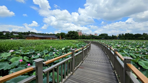 Yeonhwajeong Library 2