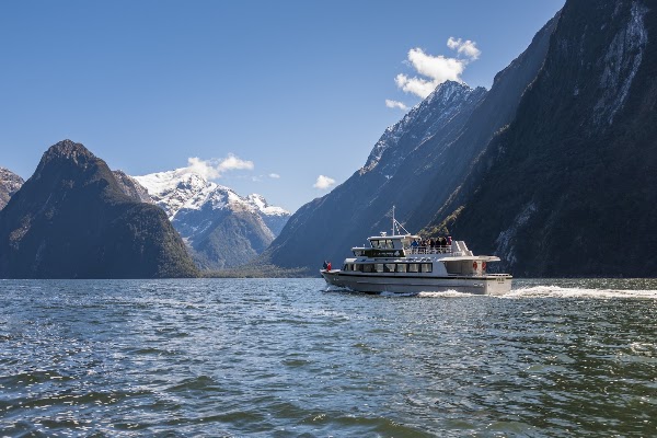 Mitre Peak Cruises 5