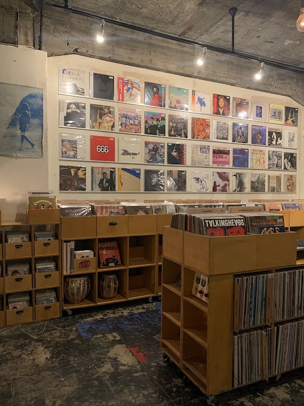 ECHO RECORDS 5