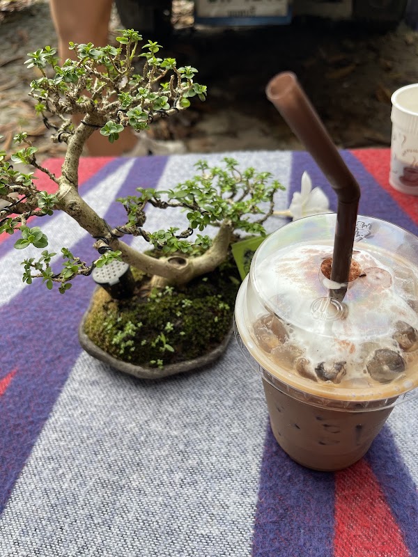 Bonsai Cafe' 5