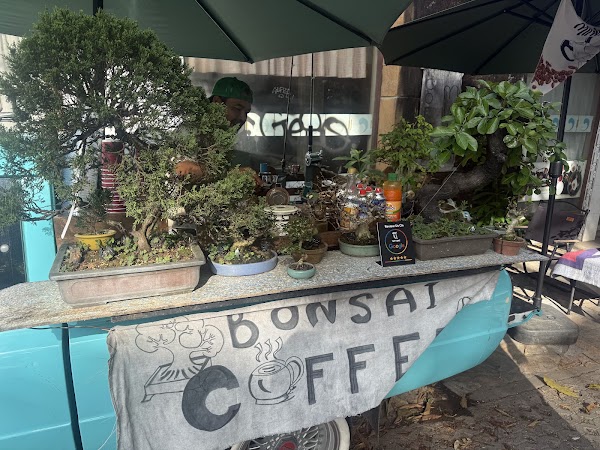 Bonsai Cafe' 4