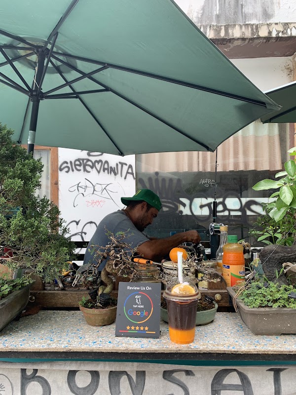 Bonsai Cafe' 2