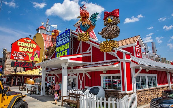 Frizzle Chicken Cafe 3