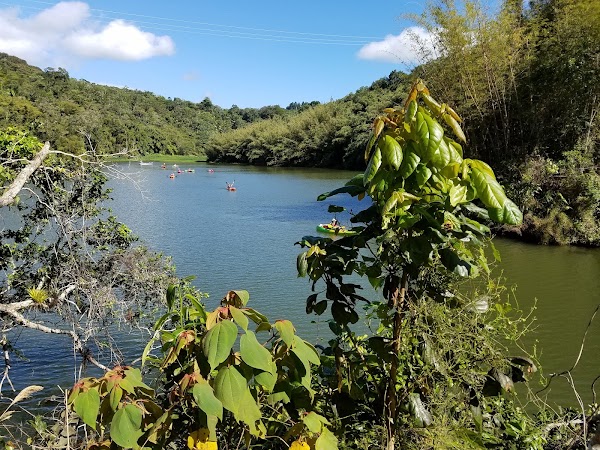 Adjuntas
