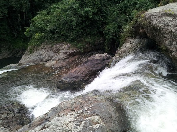 Adjuntas 4