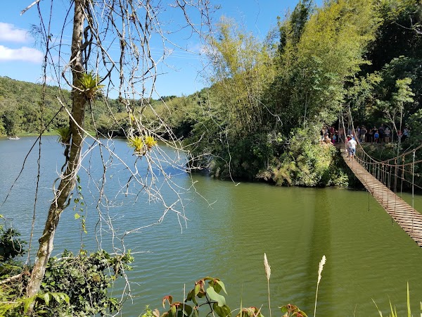 Adjuntas 2
