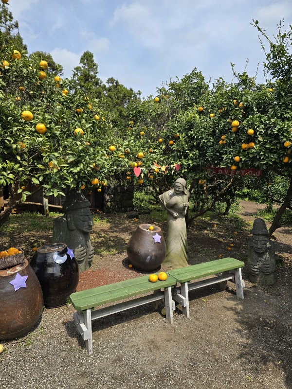 Mandarin Orange Farm