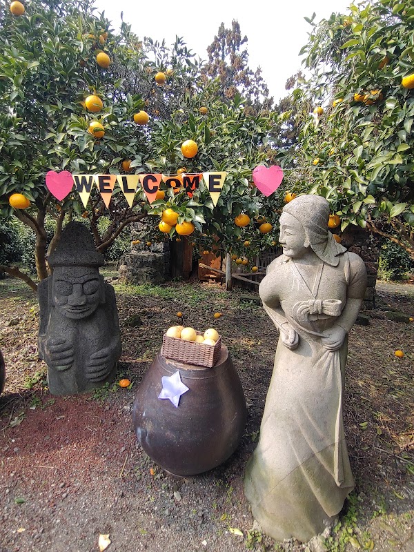 Mandarin Orange Farm 2