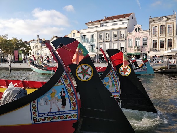 Museu de Arte Nova 4