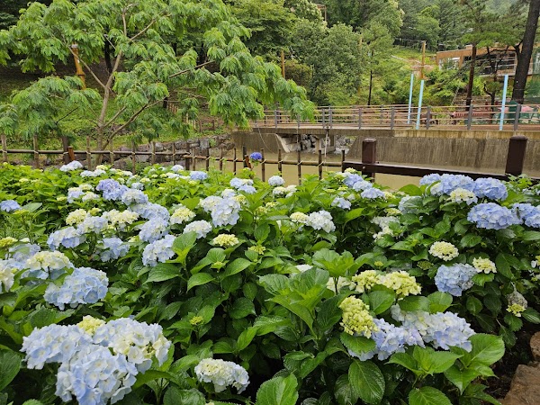 월아산 숲속의 진주 3