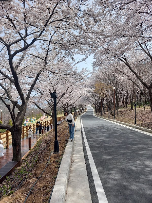 월아산 숲속의 진주 2