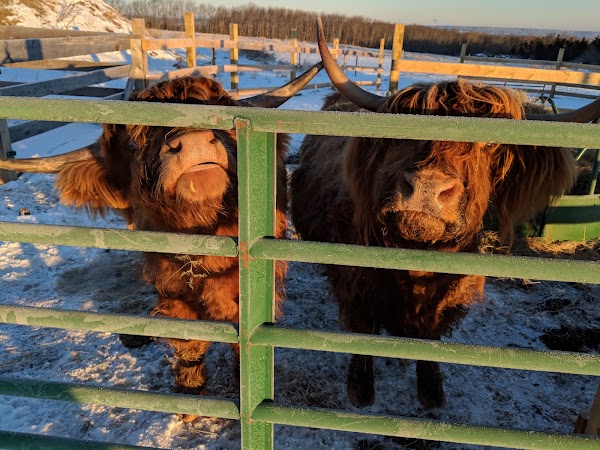 Robertson's farm 2