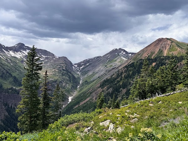 Colorado 15