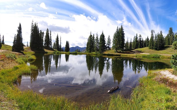 Paradise Basin 5