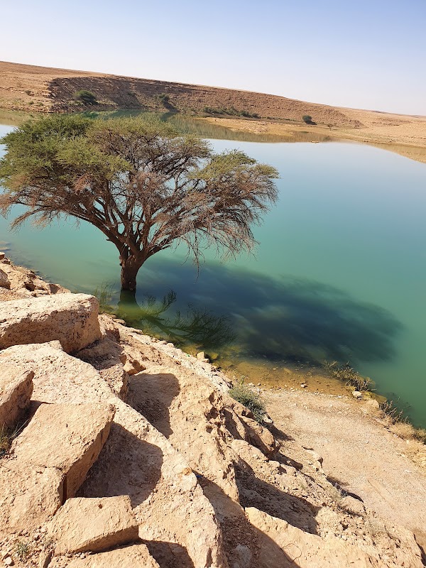 Riyadh 9