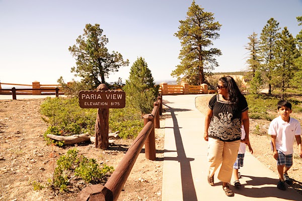 Paria View 5