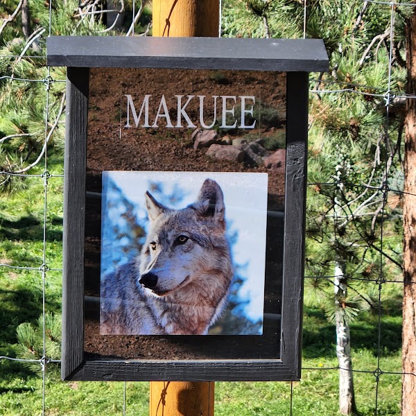 Colorado Wolf and Wildlife Center 2
