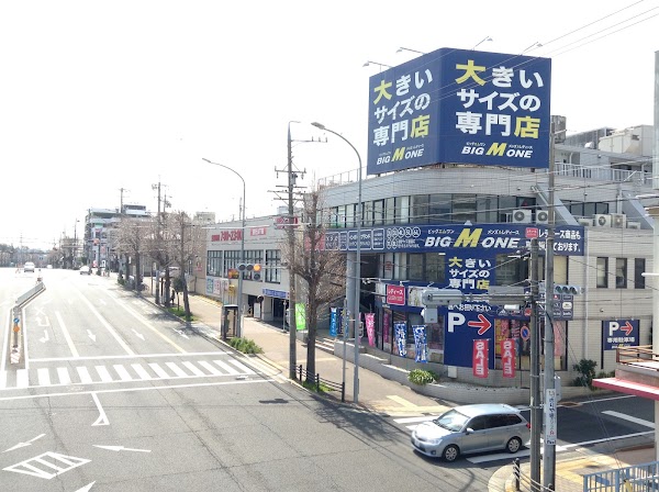 Japan 2026 4
