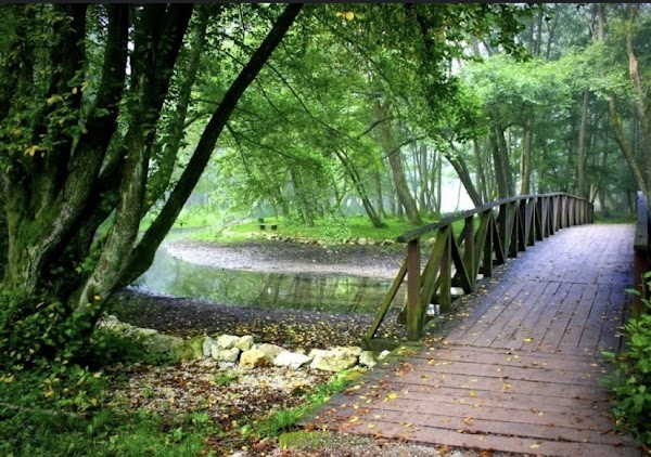 Vrelo Bosne 5