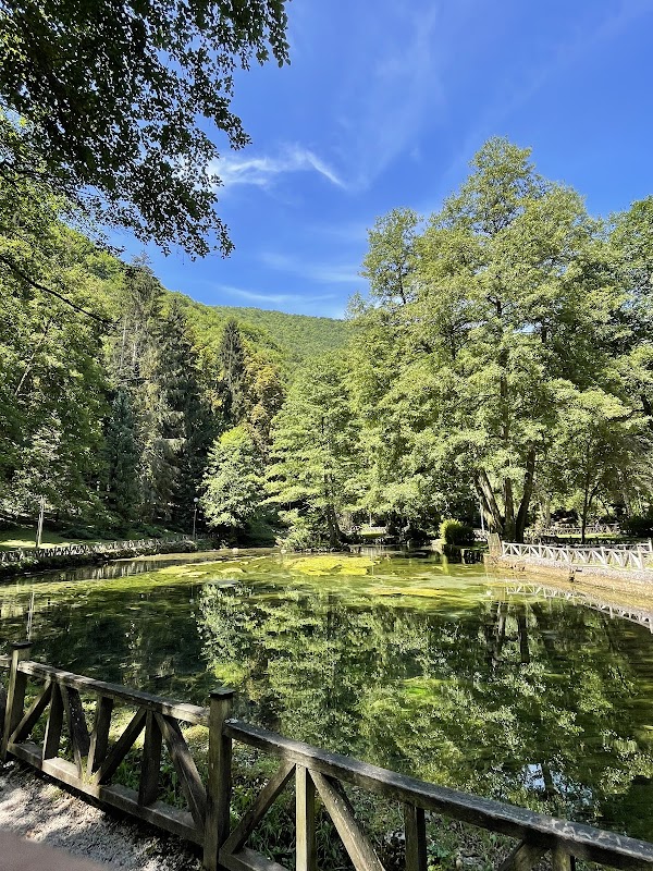Vrelo Bosne 3