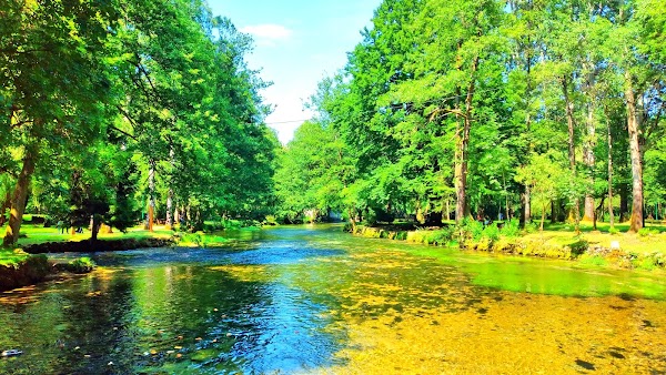 Vrelo Bosne 2