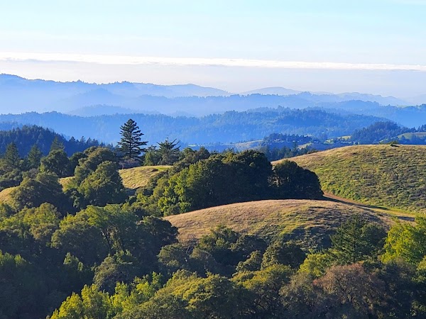 SF Bay Area 16