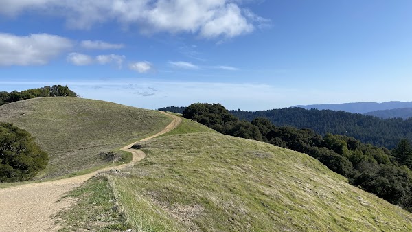 Long Ridge Open Space Preserve 5