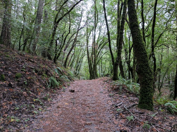 Long Ridge Open Space Preserve 4