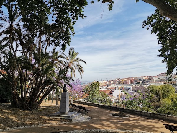 Jardim do Torel 5
