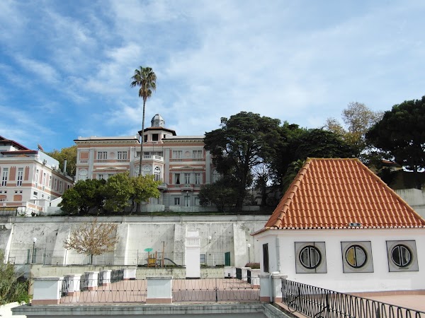 Jardim do Torel 2