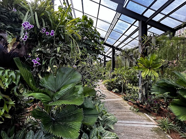 Orchid & Hibiscus Gardens 4