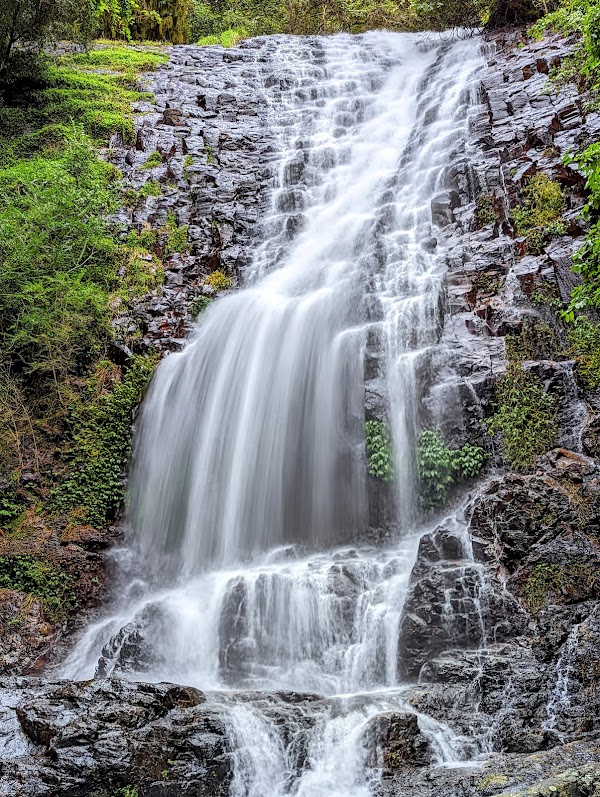 Tristania Falls