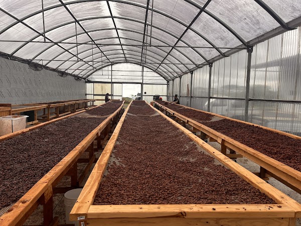 Lavaloha Chocolate - Farm Tours 4