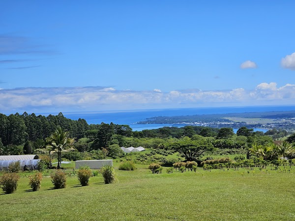 Lavaloha Chocolate - Farm Tours 3