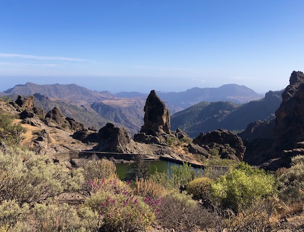 Presa y Roque Elba
